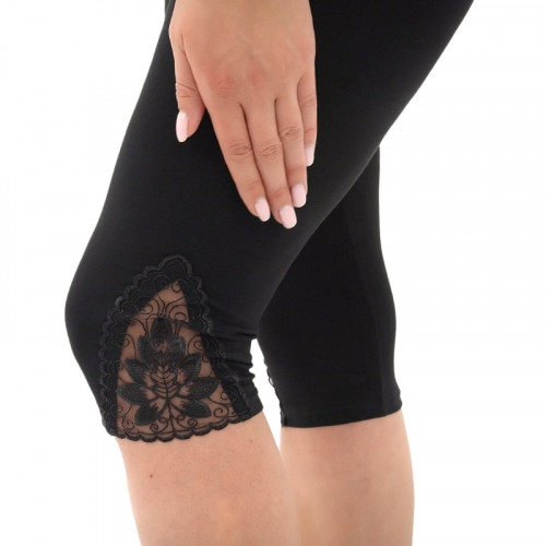 Бриджі Іланія