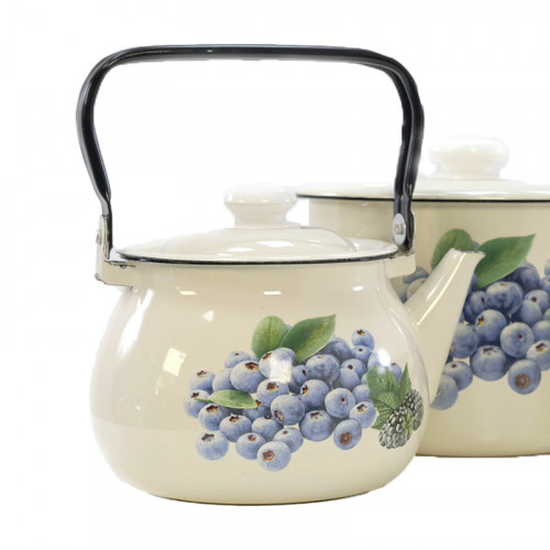 Чайник емальований БонАпетіт Лохина