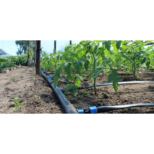Крапельного полив Щедрий Врожай