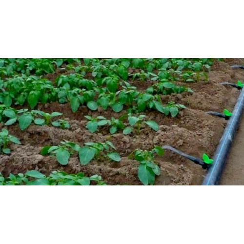 Крапельного полив Щедрий Врожай