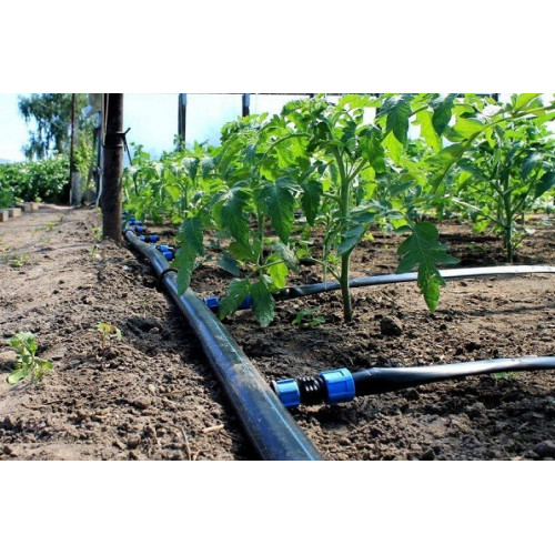 Крапельного полив Щедрий Врожай