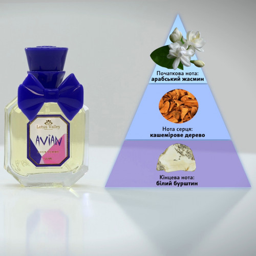 Колекція жіночих і чоловічих парфумів