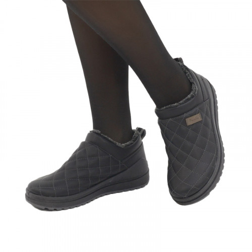 Півчобітки Шарм