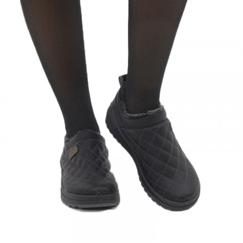 Півчобітки Шарм