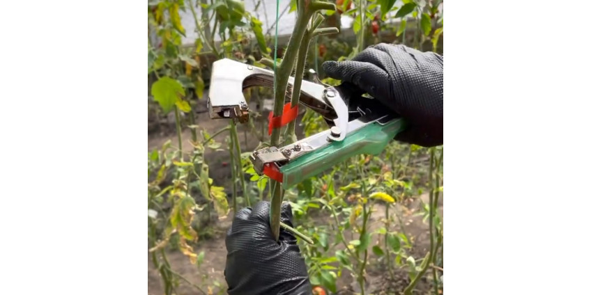 Откройте для себя новинку сезона: Садовый степлер Урожай от Распакуй TV!