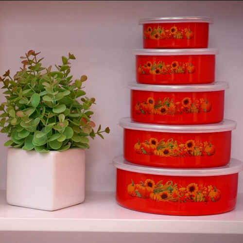 Судочки Домашні