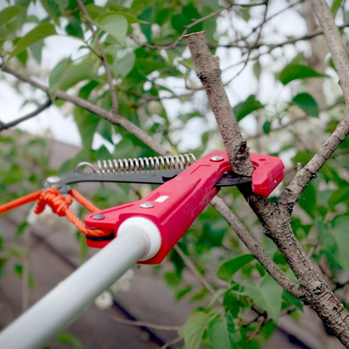 Телескопическая пила-секатор Хелпер