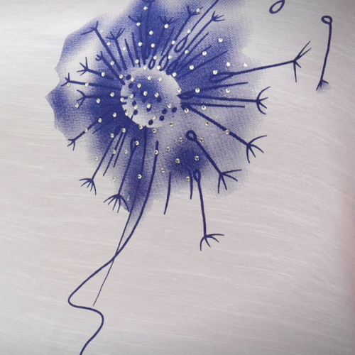 Туніка Анісія 